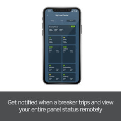 LEVITON Leviton LWHEM-2 SMART WHOLE HOME ENERGYMONITOR 2CTS