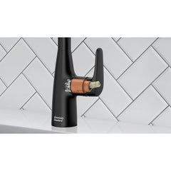 AMERICAN STANDARD American Standard 7077300.243 Colony PRO Single-Handle Pull-Down Dual Spray Kitchen Faucet 1.5 gpm/5.7 L/min in Matte Black