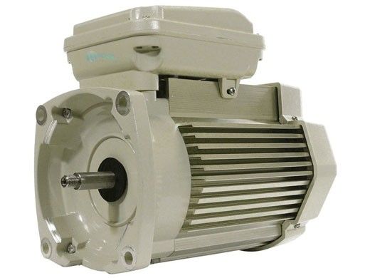 PENTAIR 354805S BLOWER MOTORS