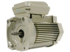 PENTAIR 354805S BLOWER MOTORS