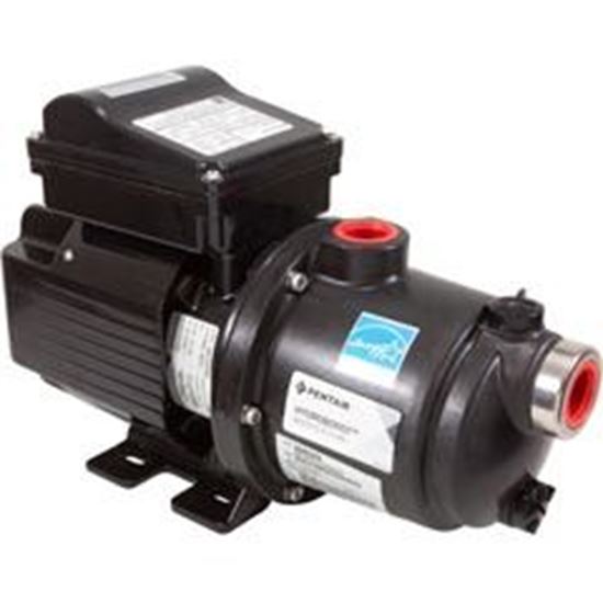 PENTAIR 360526 WATER PUMPS