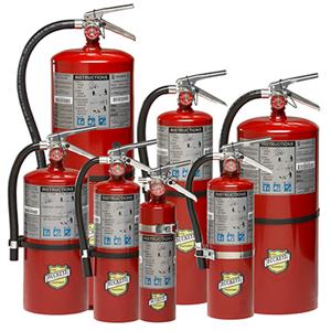 BUCKEYE 11341 FIRE EXTINGUISHERS