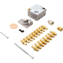 RAYPAK Raypak 004691F Convert Pro To Nat151-265-Kit