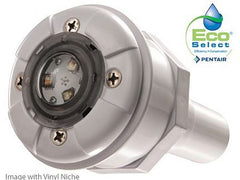 PENTAIR Pentair 602054 GLOBRITE Shallow Water Color LED Light 12V 50' Cord