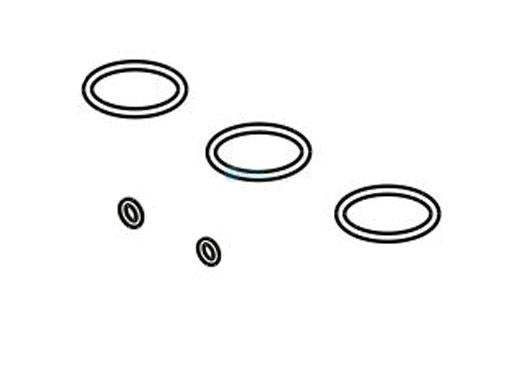 RAYPAK Raypak 017157F O-Ring Seals 5 Kit