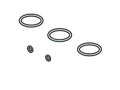 RAYPAK Raypak 017157F O-Ring Seals 5 Kit