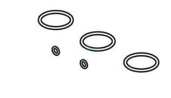 RAYPAK Raypak 017157F O-Ring Seals 5 Kit