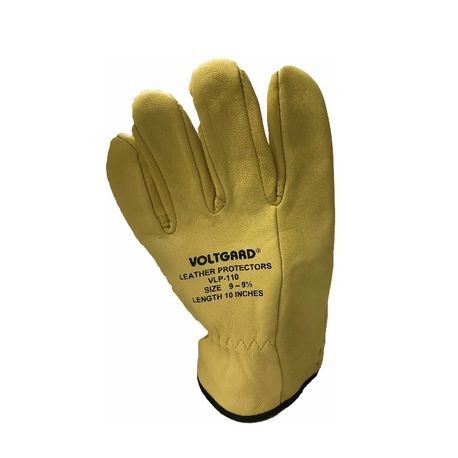 185676310.jpg