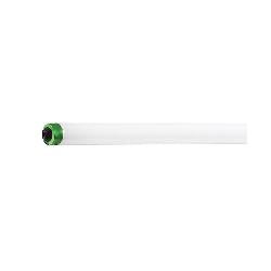 SIGNIFY Signify 236893 PHILIPS-LTG F96T8/TL850/PLUS/HO/ALTO 25/1