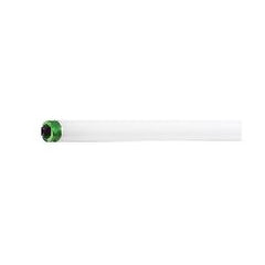 Signify 236893 PHILIPS-LTG F96T8/TL850/PLUS/HO/ALTO 25/1