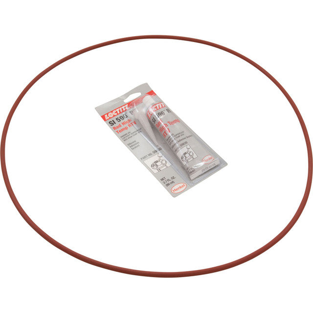 PENTAIR 474201 O-RINGS & GASKETS