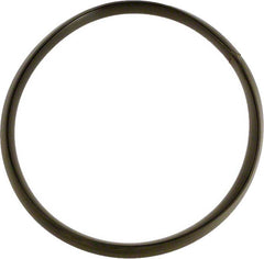 PENTAIR R36046 GASKETS