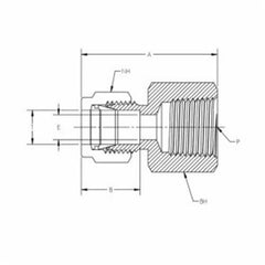 TYLOK SS-4-DFC-8 STAINLESS STEEL FITTINGS