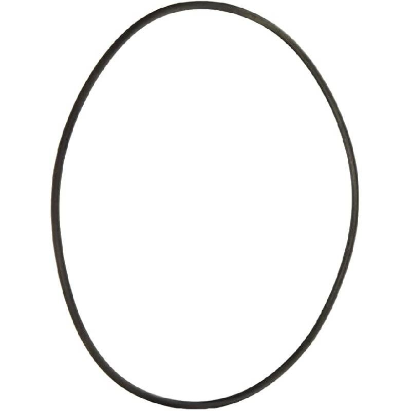 PENTAIR 352626 O-RINGS & GASKETS