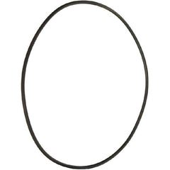 PENTAIR 352626 O-RINGS & GASKETS