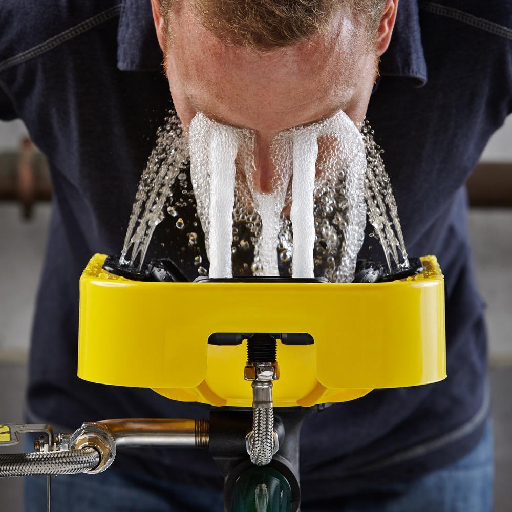 SPEAKMAN Speakman SE-1000 Optimus 4.9 GPM Wall Mount Eye and Face Wash