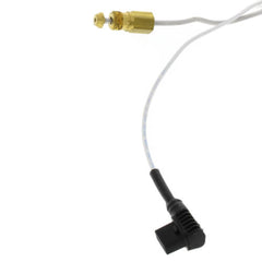 Rheem-Ruud AP14698B-1 Pilot Assembly - NG