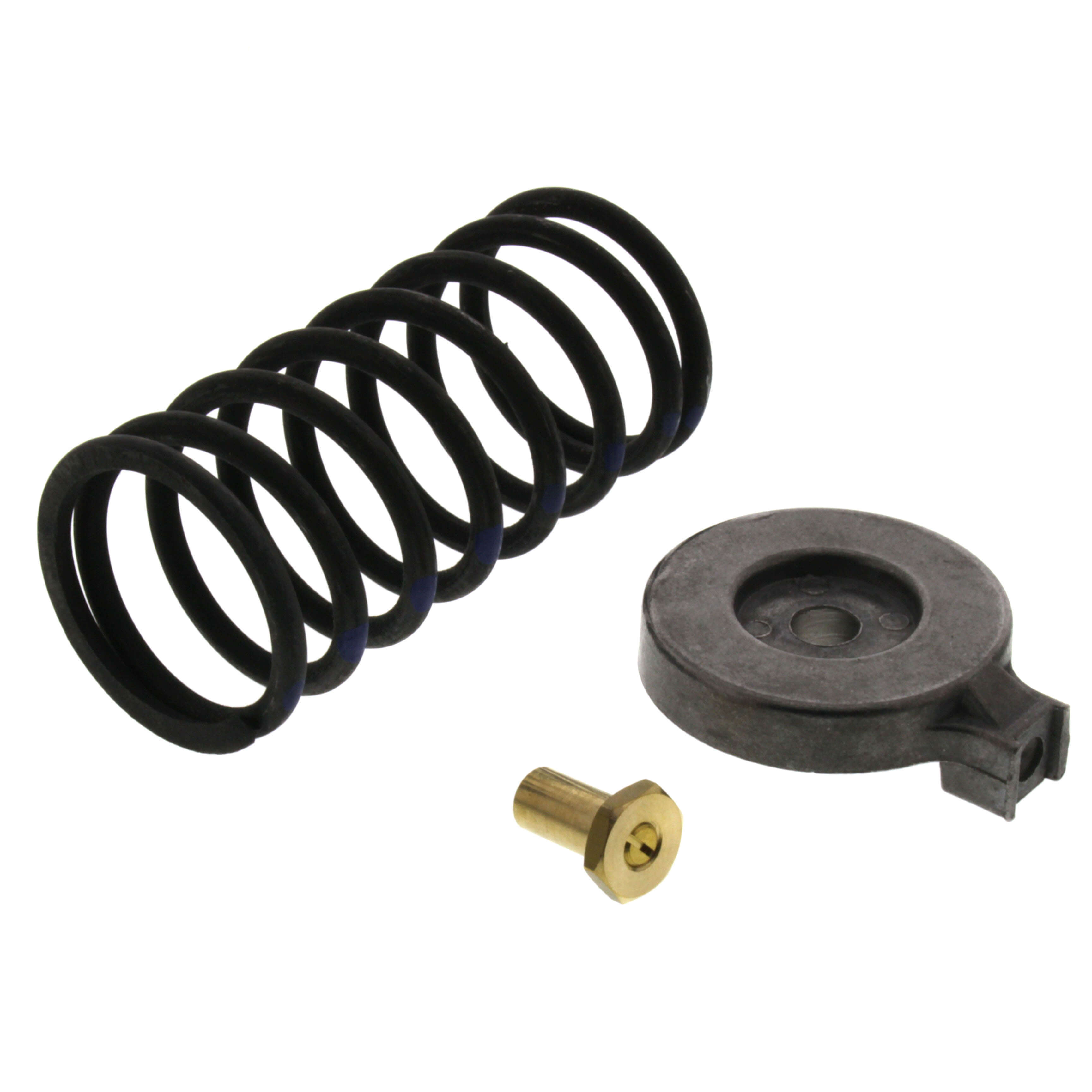 JOHNSON CONTROLS Johnson Controls VG7000-1006 Valve Spring Kit 9-13 psi