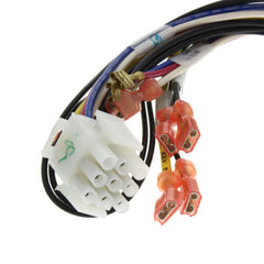 Weil McLain 591-391-905 HRNS WRNG CTL TO MODL CGA