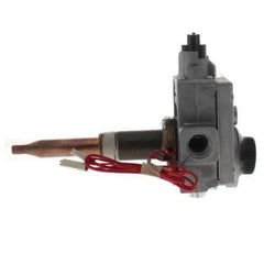 BRADFORD WHITE 265-46181-02 GAS VALVES