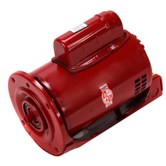 Xylem-Bell & Gossett 169230 P-P 3/4HP 1PH