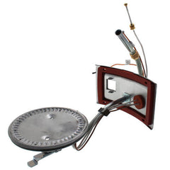 RHEEM AM43184 BURNER ASSEMBLIES