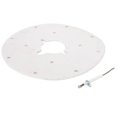 AO SMITH AO Smith 100187882 Flame Sensor | Kflame Sensor With Gasket 9008928015