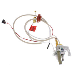 Rheem-Ruud SP21059 Pilot Assembly Replacement Kit