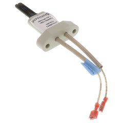 AO SMITH A.O. Smith 100110899 Kit Igniter 1.75 Insertion 100054823 9006101205