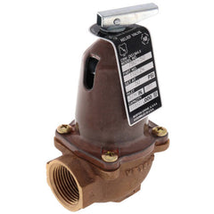 Bell & Gossett 110124 790 50 ASME Relief Valve