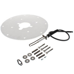 AO SMITH A.O. Smith 100271889 Spark Ignitor Assembly