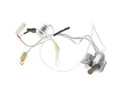 BRADFORD WHITE 415-47845-05 PILOT ASSEMBLIES