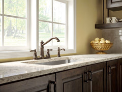 MOEN Moen S3945ORB Traditional Soap Dispenser Oil Rubbed Bronze