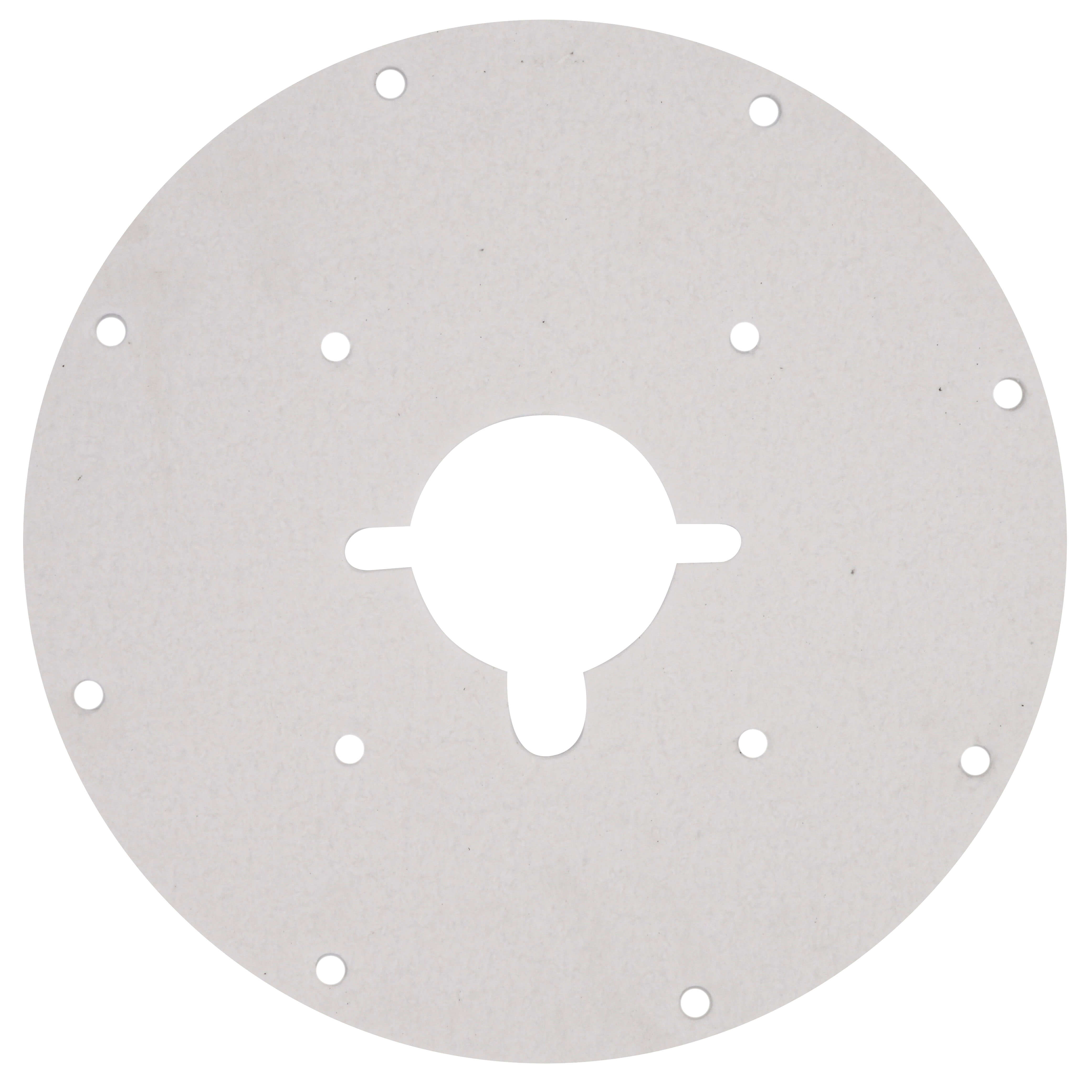 AO SMITH AO Smith 100187881 Spark Ignitor Assembly Commercial