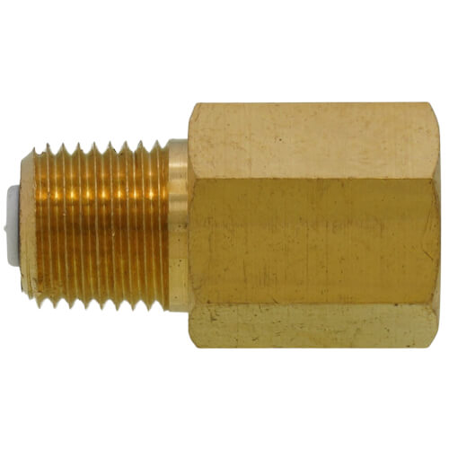 CALEFFI Caleffi 59474A 1/8 NPT Male Service Check Valve
