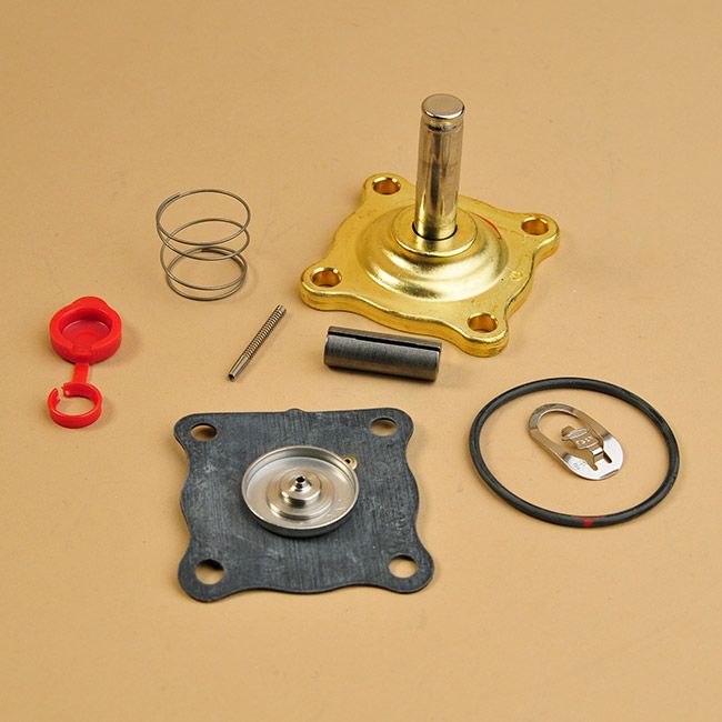 ASCO Asco 302307 Repair Kit O160-130