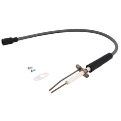 AO SMITH A.O. Smith 100191120 Spark Igniter Assembly for A. O. Smith Natural Gas Water Heater