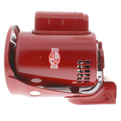 Bell & Gossett 169226 P-P 1/3HP 1PH