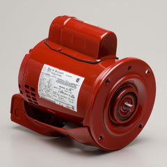 Bell & Gossett 169226 P-P 1/3HP 1PH