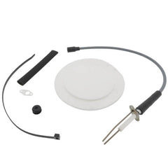 AO SMITH A.O. Smith 100113150 Ignitor Series 130/131