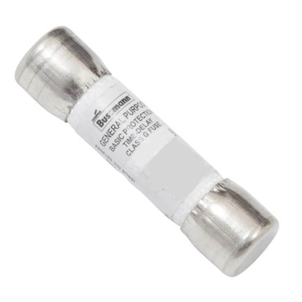 AO SMITH 100110720 FUSES
