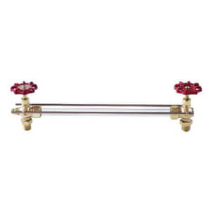 APOLLO VALVES Conbraco 20-105-00 - Water Gauge Set, 1/2 MIP, 125 psi