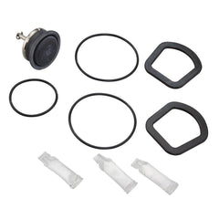 WATTS 0899244 VALVE REPAIR & REBUILD KITS