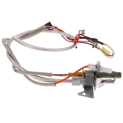 A. O. Smith 100093983 Propane Gas Pilot/Thermopile with Tubing for GCV40/GS640/XCRT40