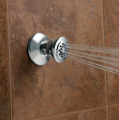 MOEN Moen A501 Chrome Body Spray