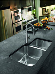FRANKE Franke STL-PD-304 Steel Single Handle Pull Down Kitchen Faucet in Stainless Steel