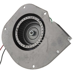 Fasco A150 1-Speed 3000 RPM 136-150 CFM Trane Draft Inducer Motor (208/230V)