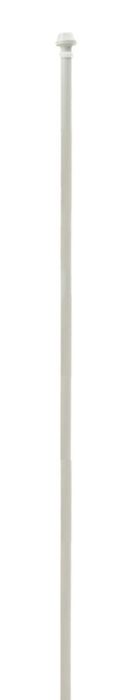BRASSCRAFT BrassCraft P1-12A Faucet Riser Tube PEX 3/8 x 12 in. Lead-Free