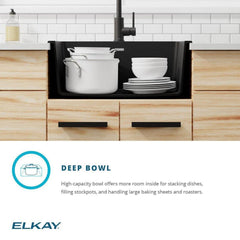 ELKAY Elkay ELG2522WH0 Quartz Classic 25 x 22 x 9-1/2 Single Bowl Drop-in Sink White