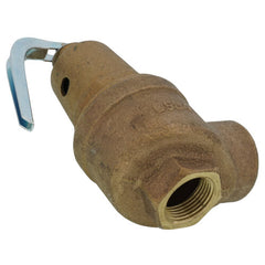 Apollo Valves 1061415 3/4 FNPT x 1 FNPT RVW61 1,977,000 BTU Bronze Hot Water Relief Valve 75 psi